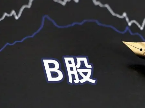将成为投资者的选择之一